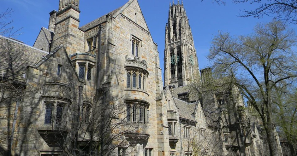 A Journey Through the Top Universities Shaping Tomorrow’s Minds