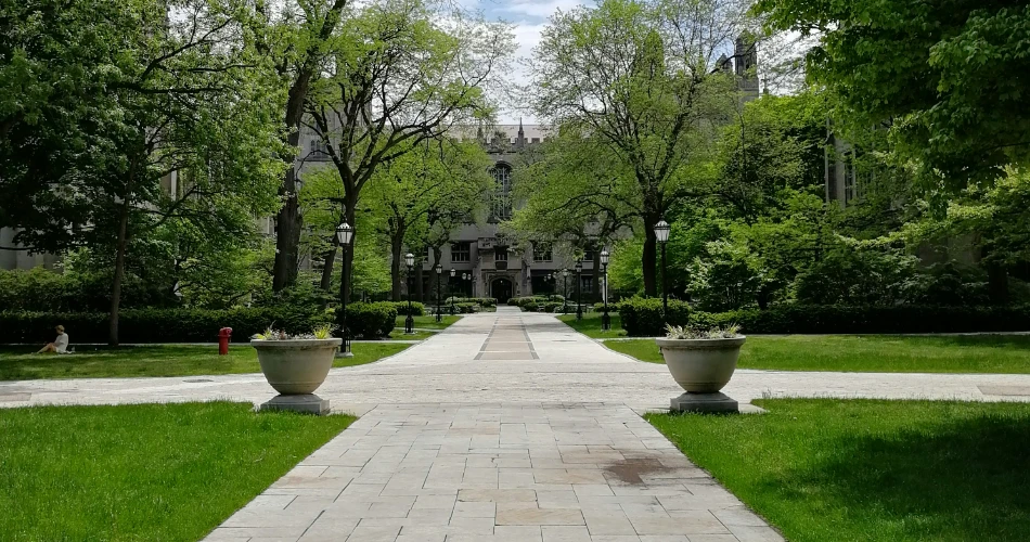 A Journey Through the Top Universities Shaping Tomorrow’s Minds